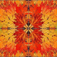 Illustration for article titled Shooting Challenge Fall Leaves Gallery 9